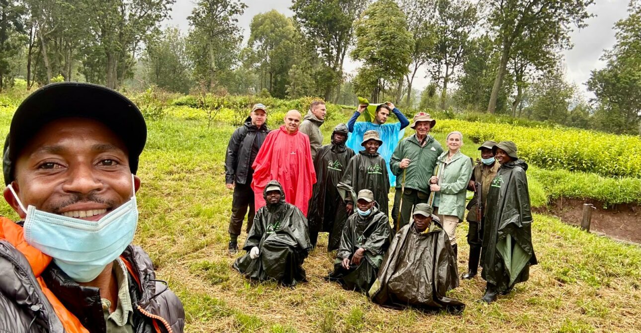 Who can do gorilla trekking?